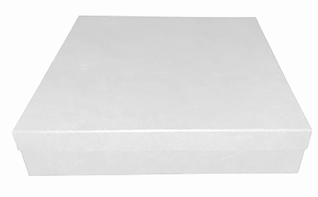 B23 White-New.png