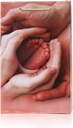 H27-11.png