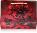 H30-09.png