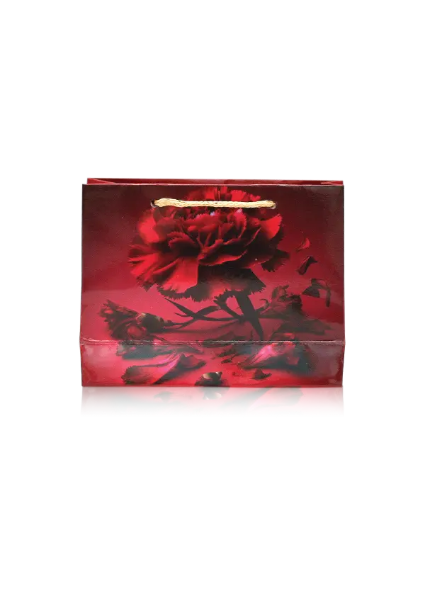 H30-09