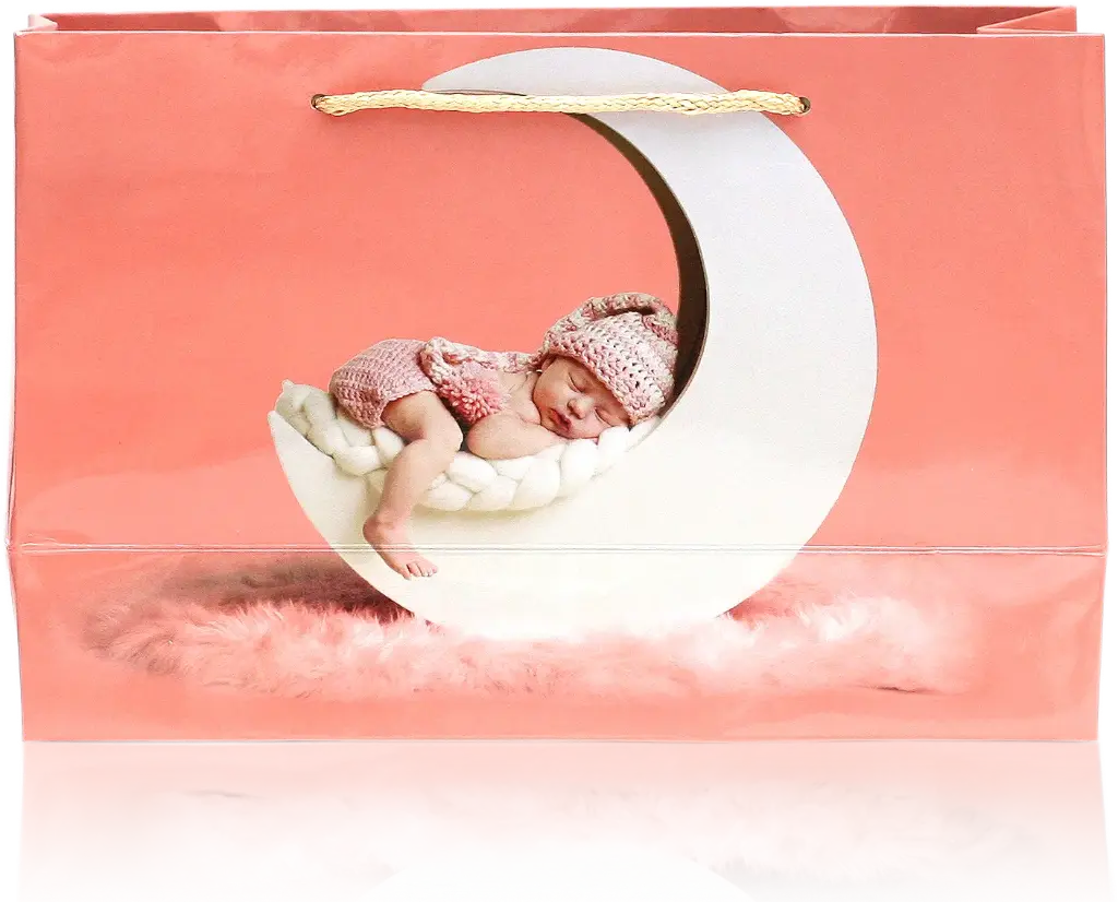Baby Bliss Gift Bag – Adorable Moon & Newborn Design
