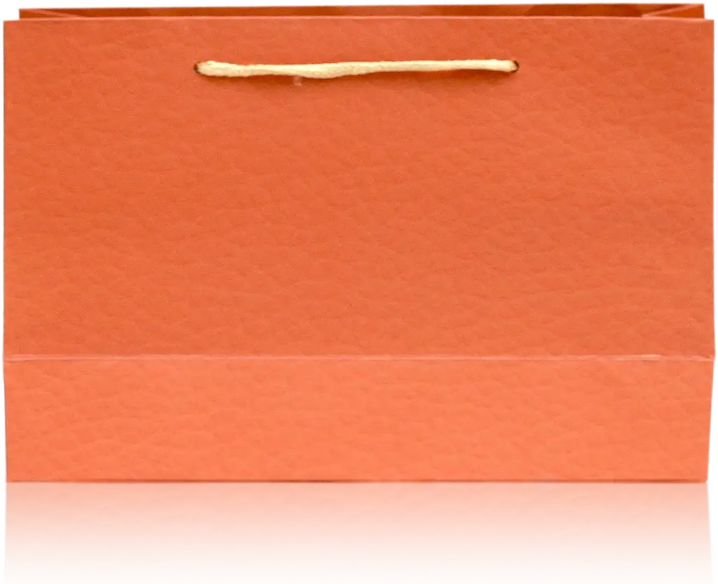 Charming Orange Fabric-Textured Gift Bag 