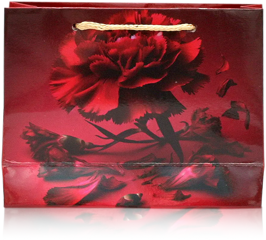 Elegant Red Carnation Gift Bag