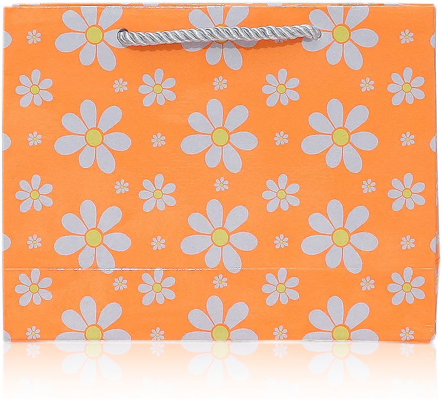 Sunny Daisy Gift Bag