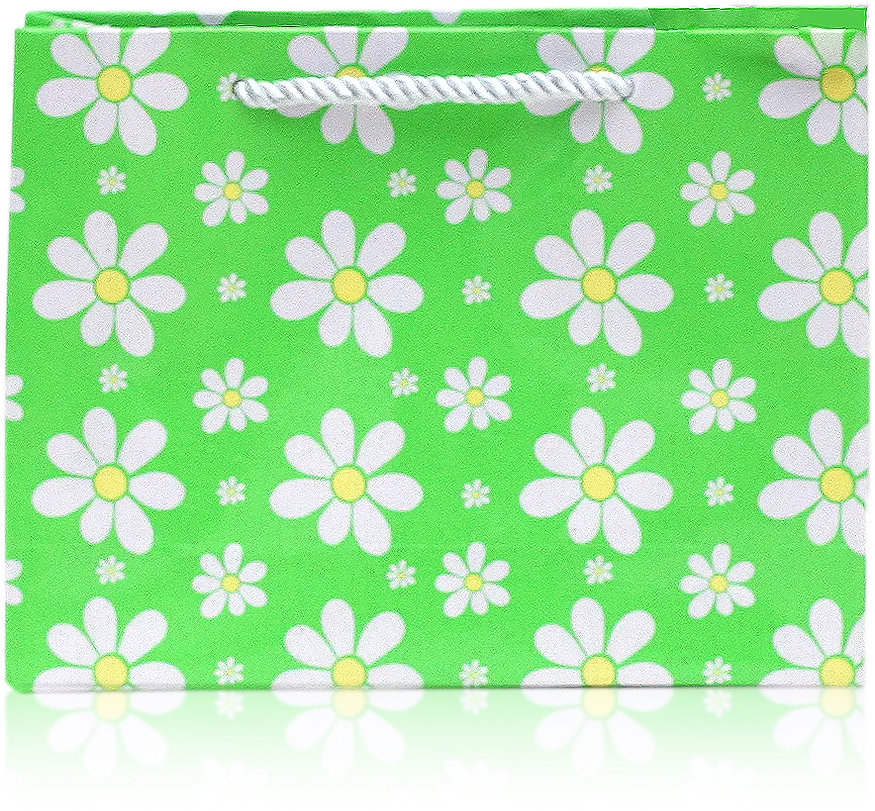 Spring Meadow Daisy Gift Bag