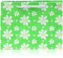 Spring Meadow Daisy Gift Bag