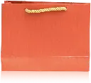 Elegant Textured Orange Gift Bag