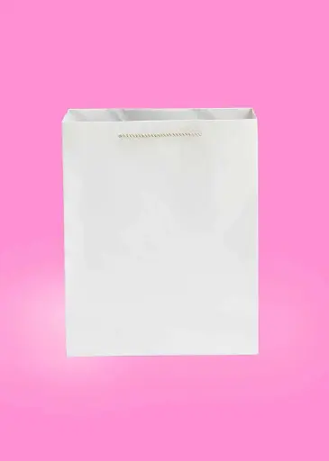 [H1004000000] H10-04