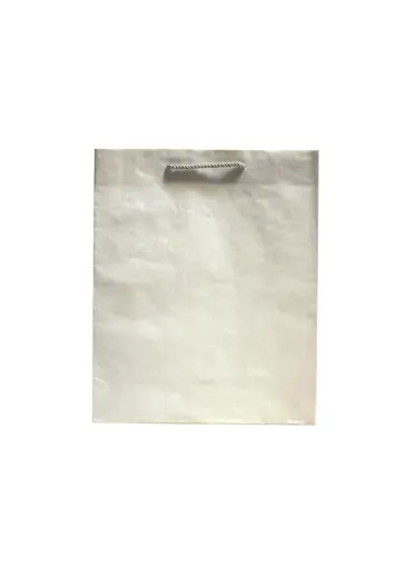 [H2617000000] H26-17