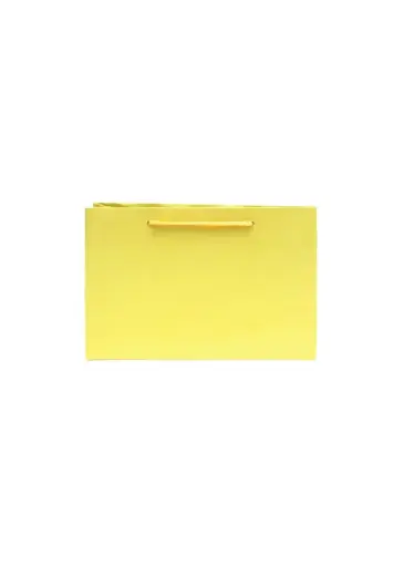 [H2930000000] H29-30