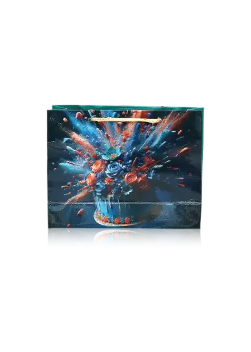[H3001000000] H30-01