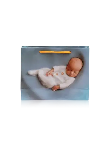 [H3003000000] H30-03