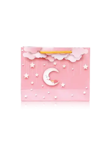 [H3004000000] H30-04
