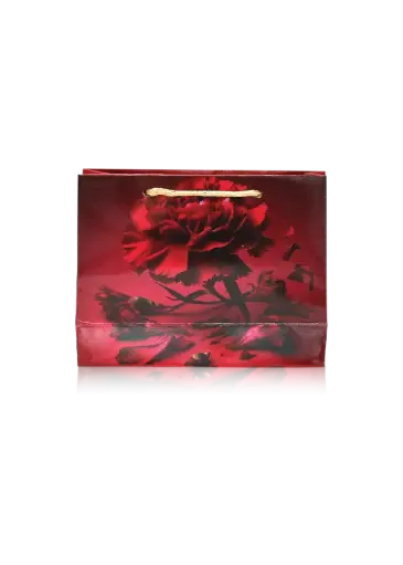 [H3009000000] H30-09