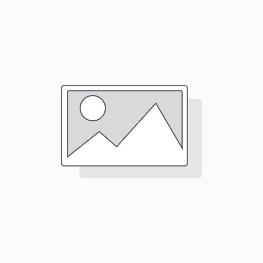 [R0102WHITE0] White Local one Inch Net Ribbon 