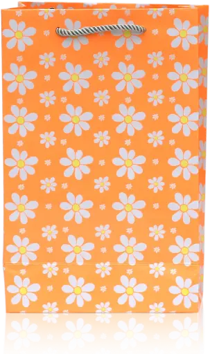 [H2717000000] Blossom Delight Gift Bag