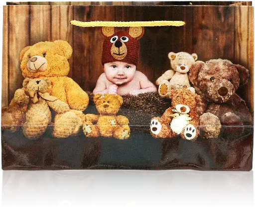 [H2902000000] Teddy Bear Cuddle Gift Bag