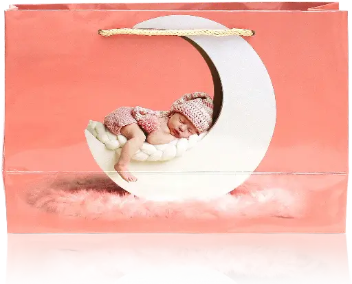 [H2923000000] Baby Bliss Gift Bag – Adorable Moon & Newborn Design