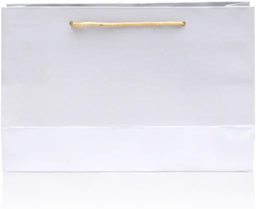 [H2926000000] Elegant White Textured Gift Bag