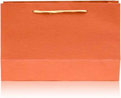 [H2929000000] Charming Orange Fabric-Textured Gift Bag 