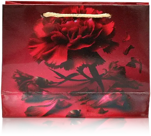 [H3009000000] Elegant Red Carnation Gift Bag