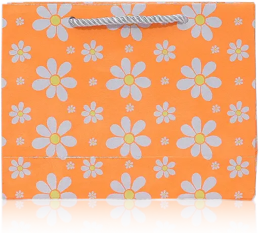 [H3013000000] Sunny Daisy Gift Bag