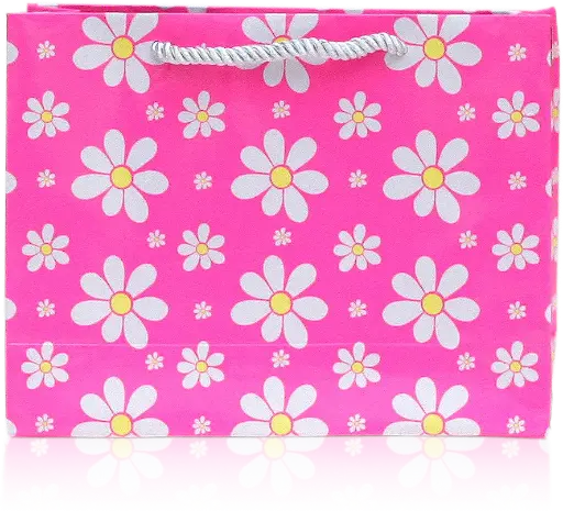 [H3014000000] Blossom Pink Daisy Gift Bag