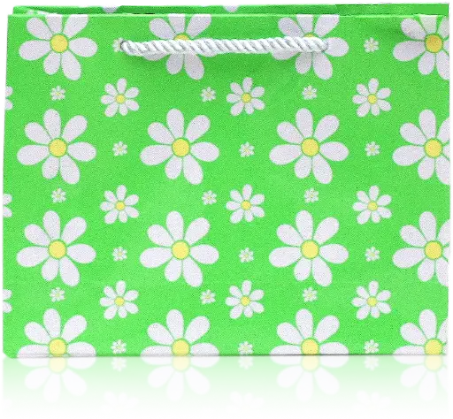 [H3015000000] Spring Meadow Daisy Gift Bag