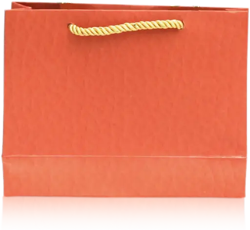 [H3030000000] Elegant Textured Orange Gift Bag