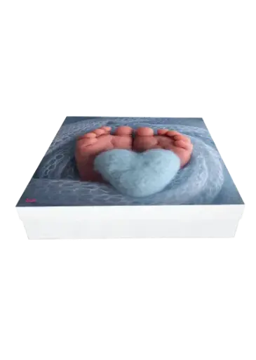 [B2337000000] B23 37