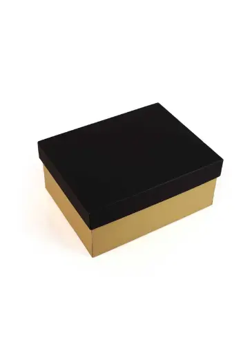 [B1002000000] B10 02